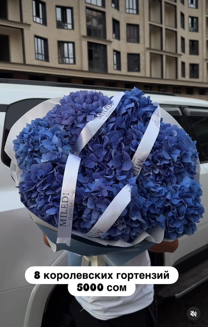 Королевские гортензии - изображение 1