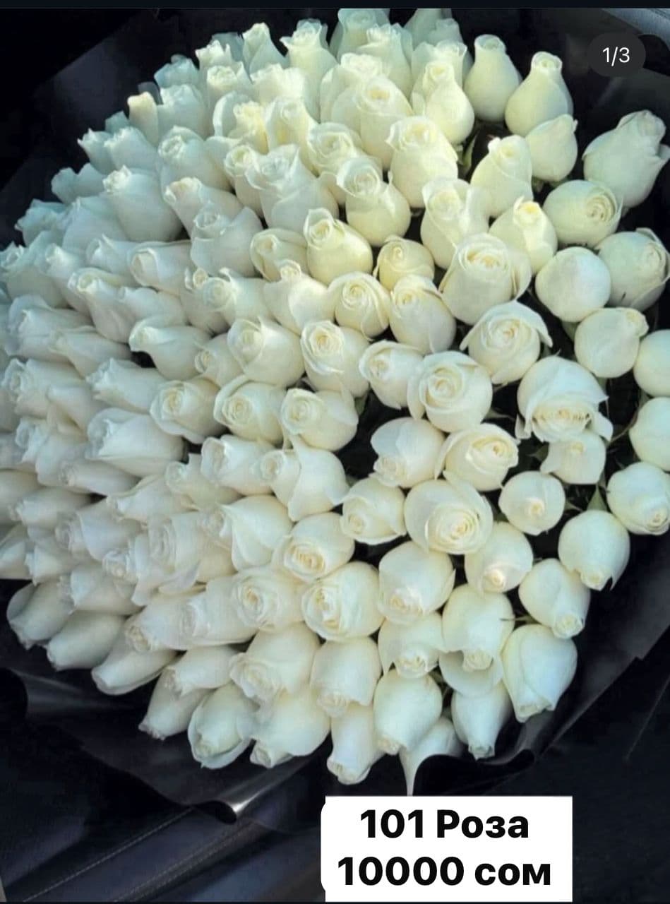 101 роза 60см - изображение 1