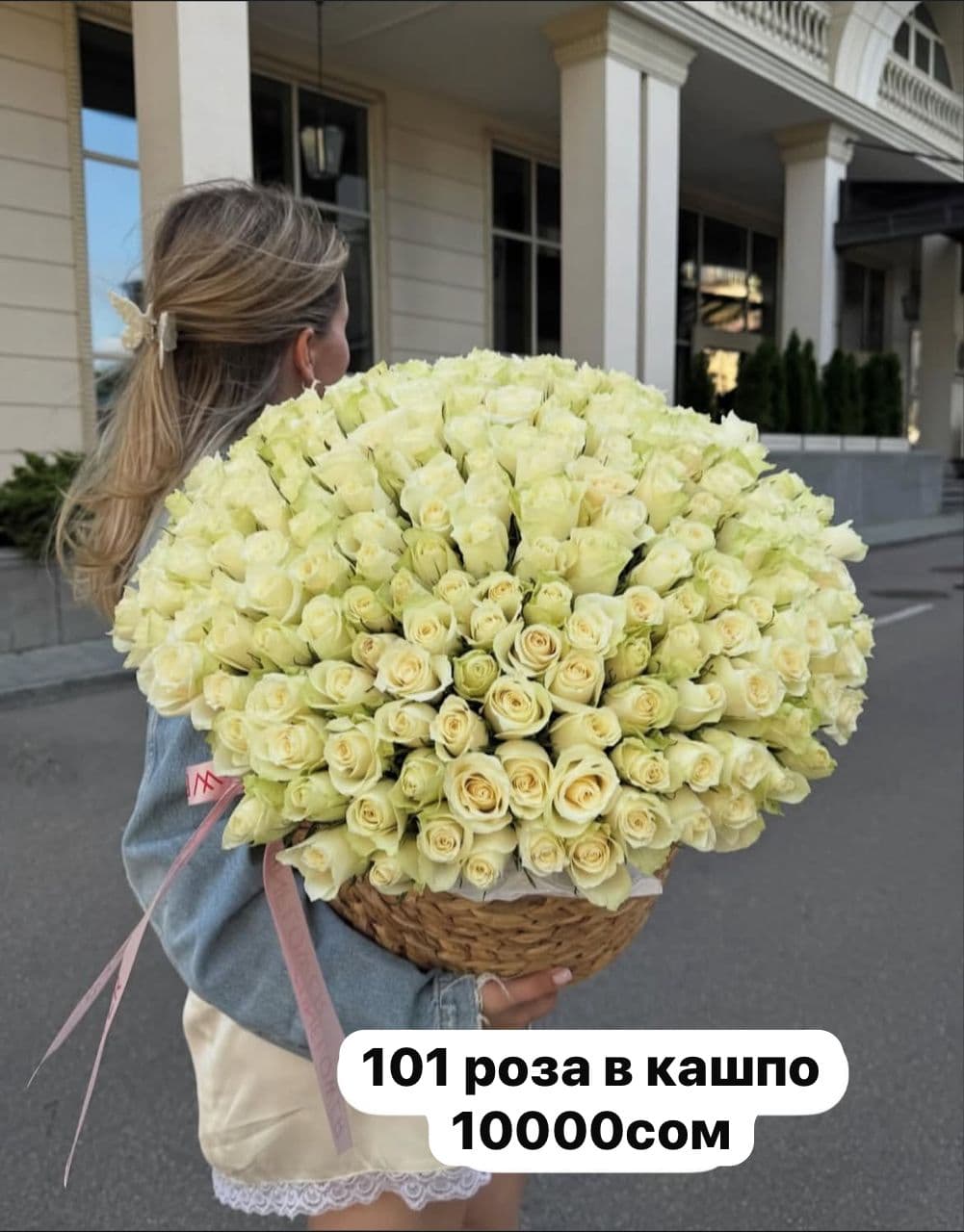 101 роза в кашпо - изображение 1